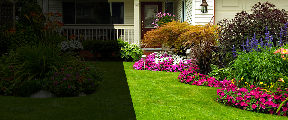 San Marcos Landscapers